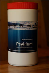 Psyllium - Darmstabilisator