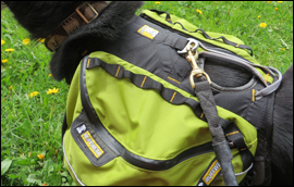 Approach von RUFFWEAR