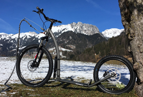 Mushing Max Special Edition