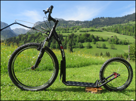 KOSTKA- Dogscooter MUSHING