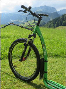 KOSTKA MUSHING dogscooter grün