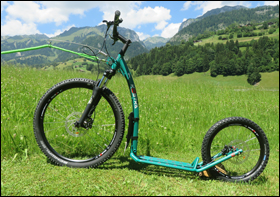 KOSTKA Mushing Max Dogscooter