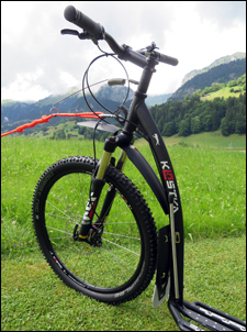 KOSTKA Mushing Pro
