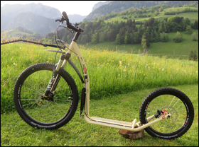 KOSTKA MUSHING PRO - Standart