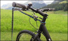 KOSTKA Tour Dog Scooter