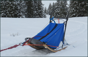 Allround Small - Kleienr Hundeschlitten