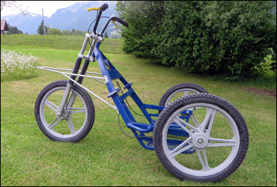 Trike - Dreirad Trainingswagen von Sleddogline