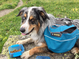 Hundepacktasche Ruffwear